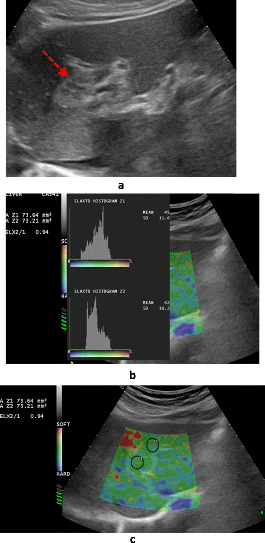 Fig. 3