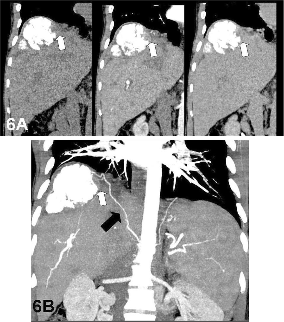 Fig. 6