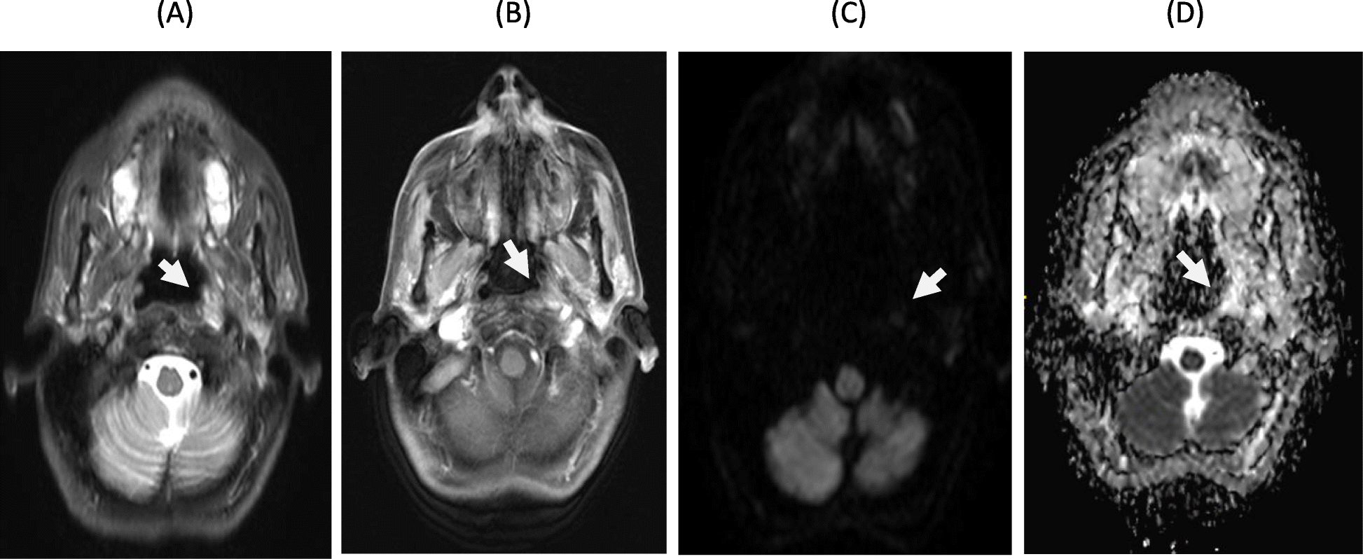 Fig. 5