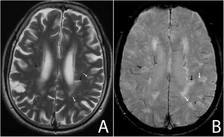 Fig. 7