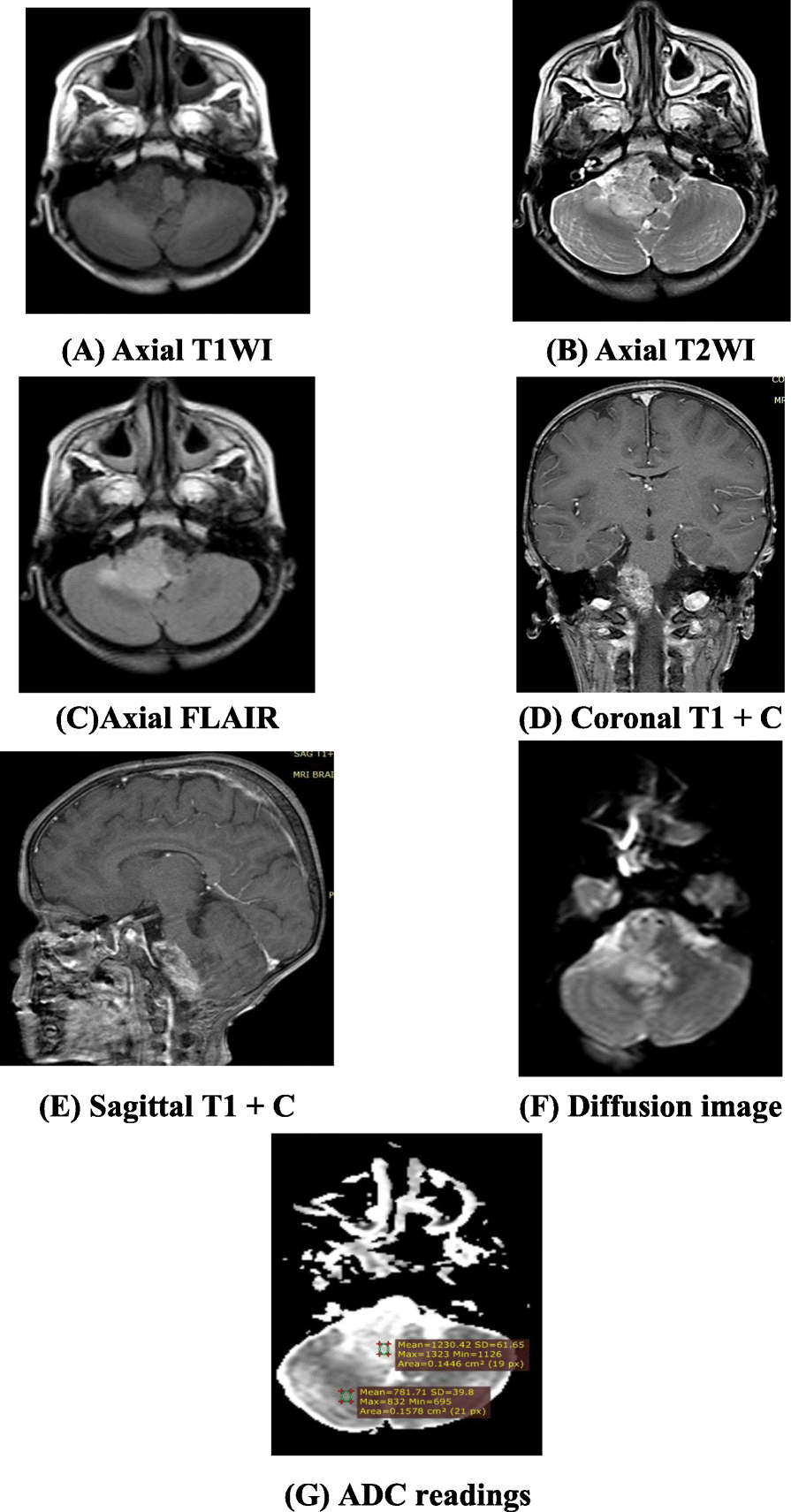 Fig. 7