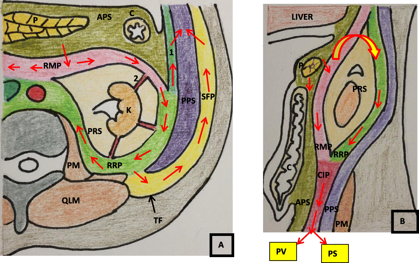 Fig. 1