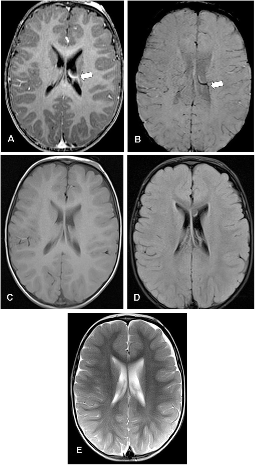 Fig. 5