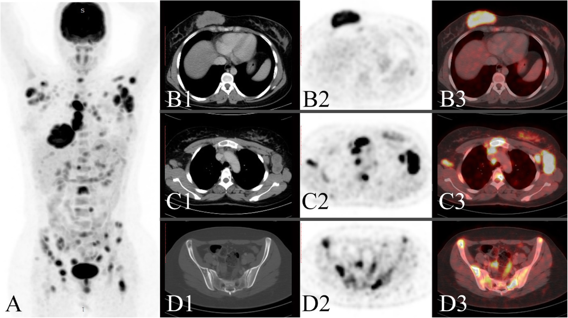 Fig. 5