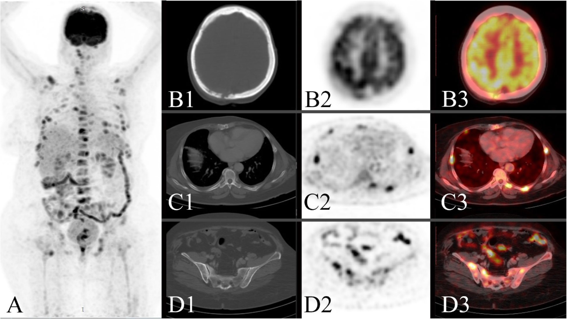 Fig. 6