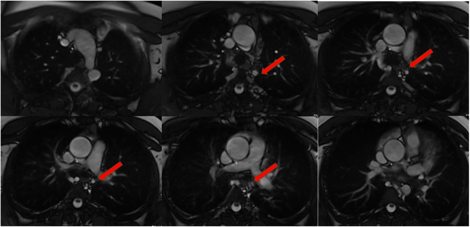 Fig. 7