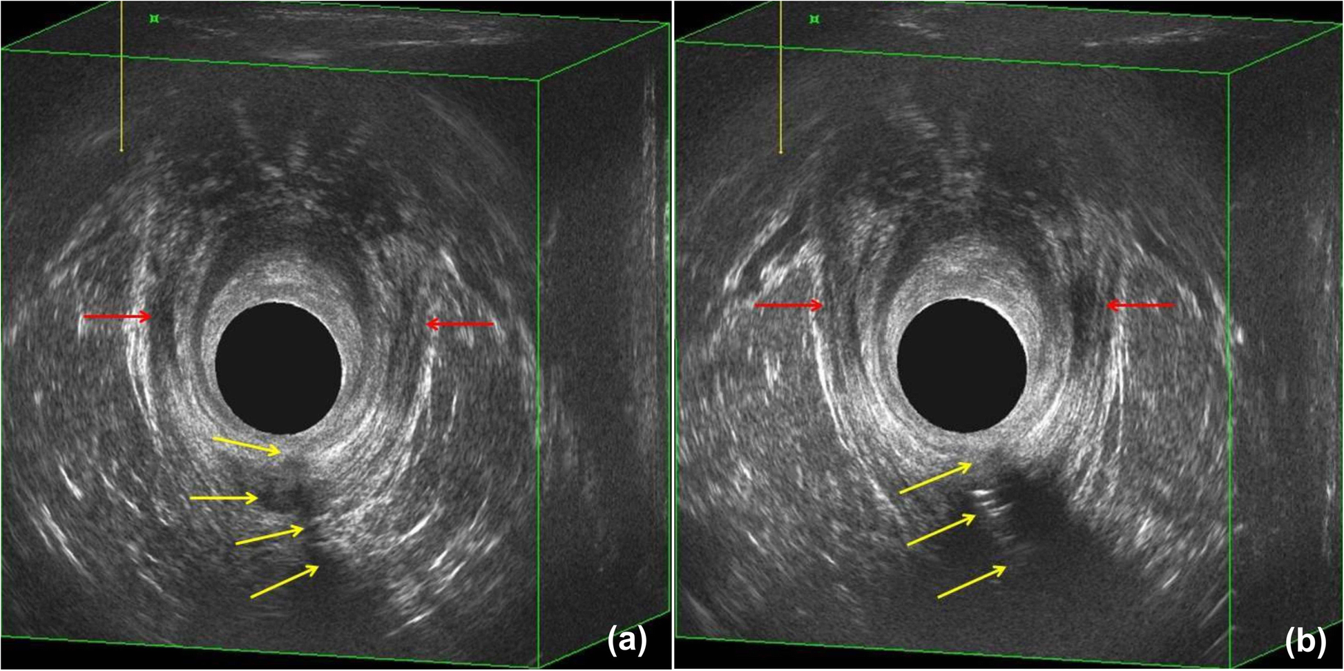 Fig. 7