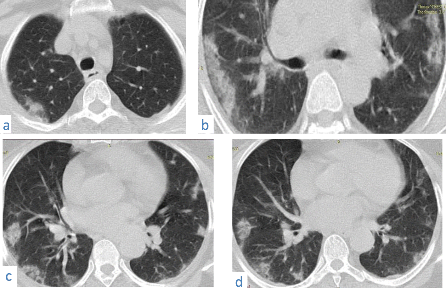 Fig. 8