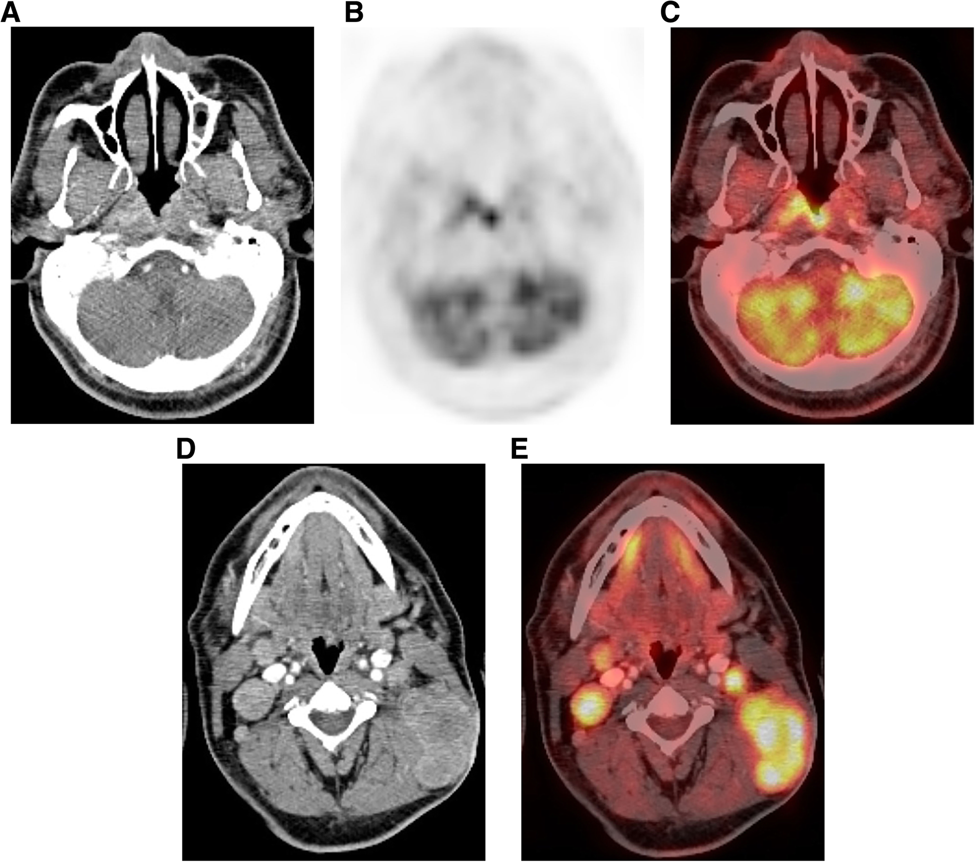 Fig. 5