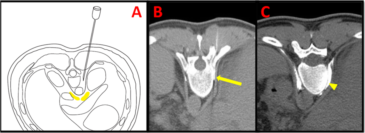 Fig. 8