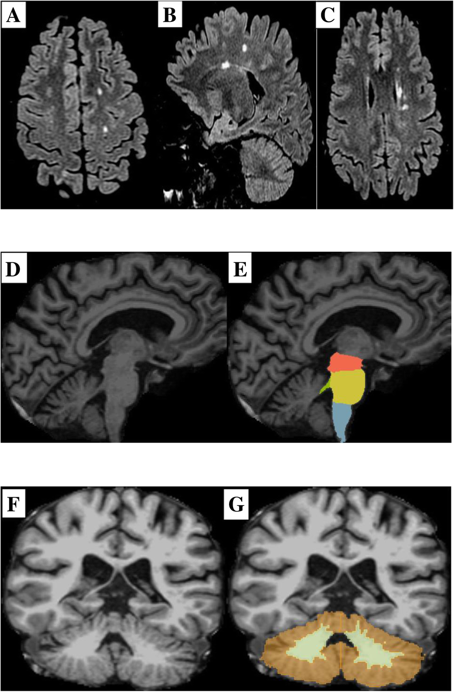 Fig. 4 