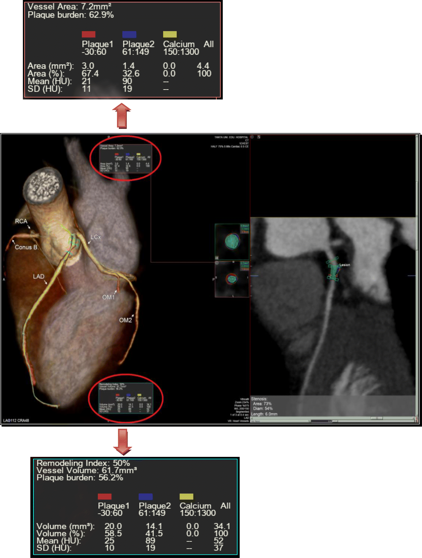 Fig. 7