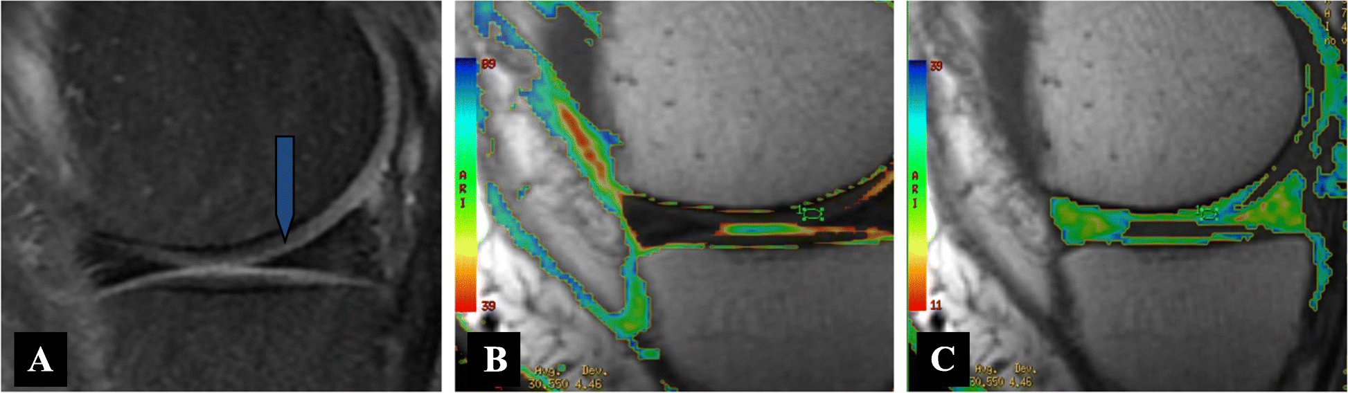 Fig. 5