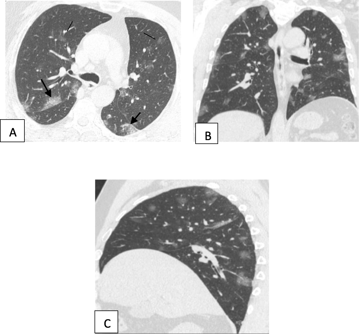 Fig. 7