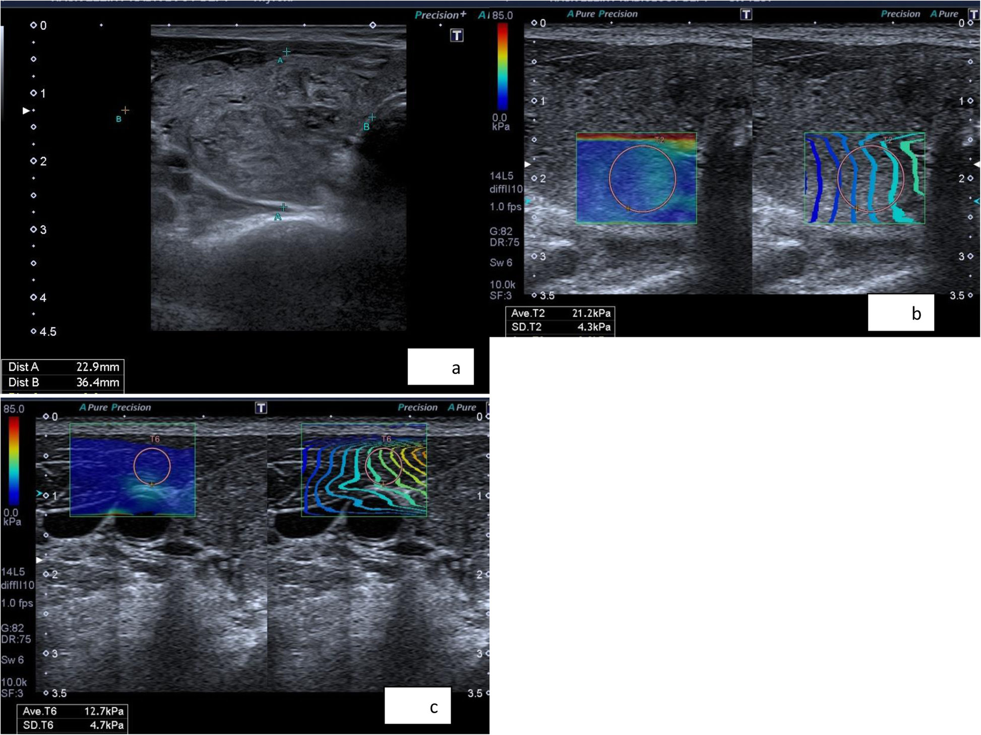 Fig. 4