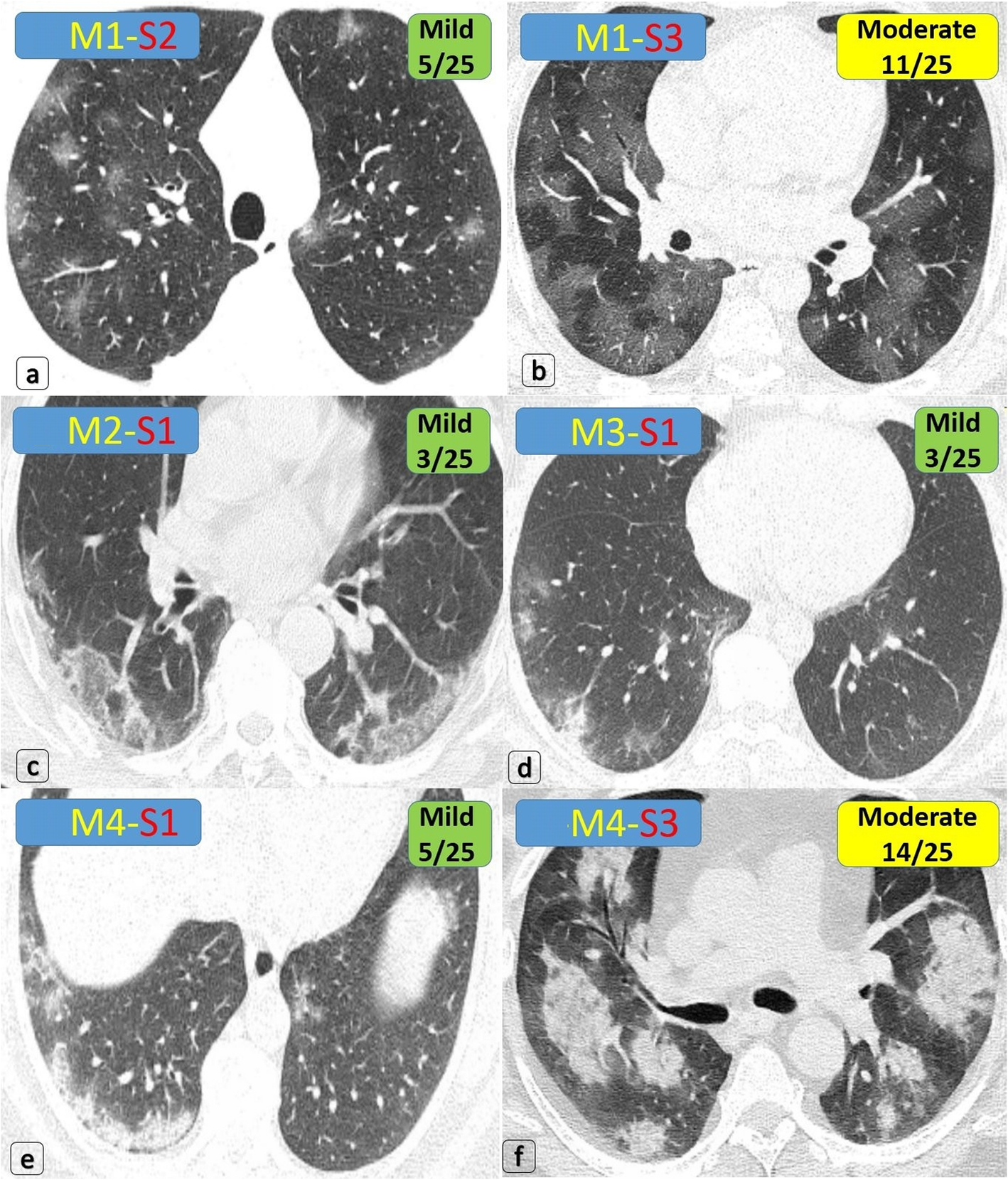 Fig. 5