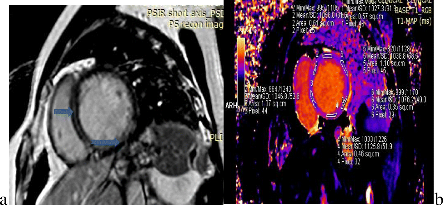 Fig. 5