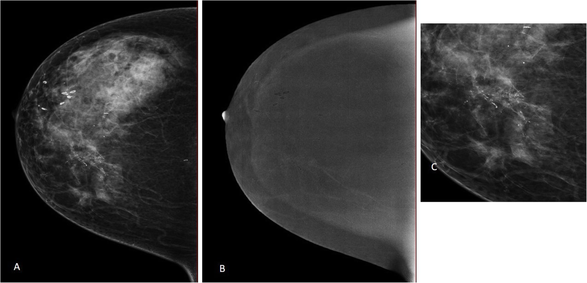 Fig. 5