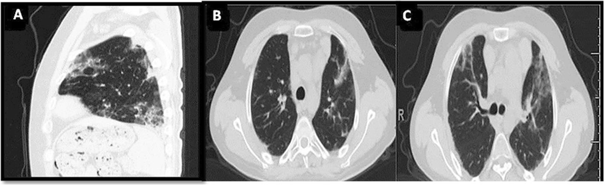 Fig. 8