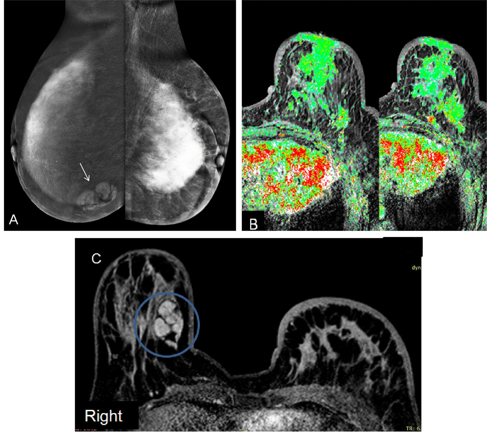 Fig. 5