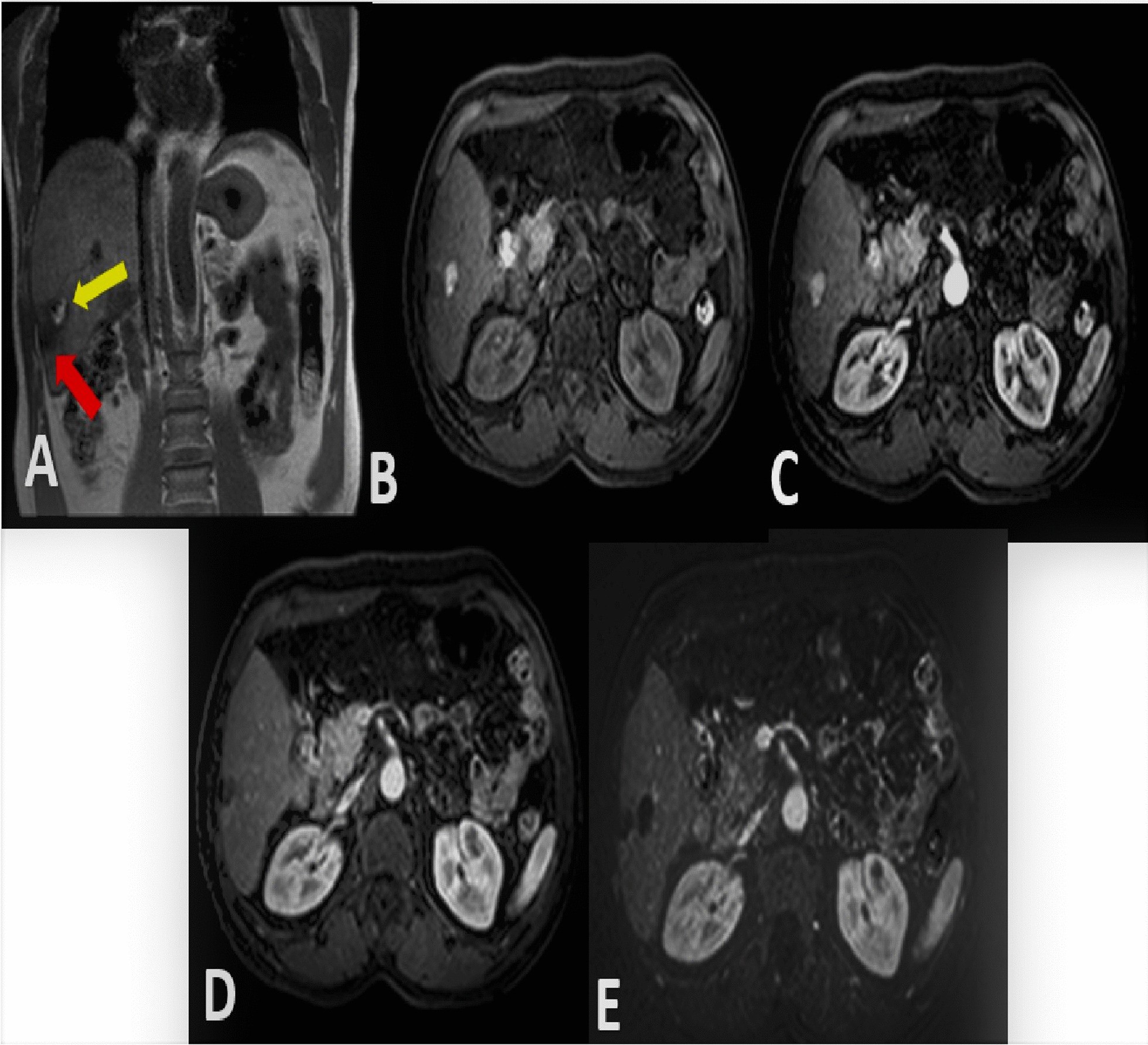 Fig. 6