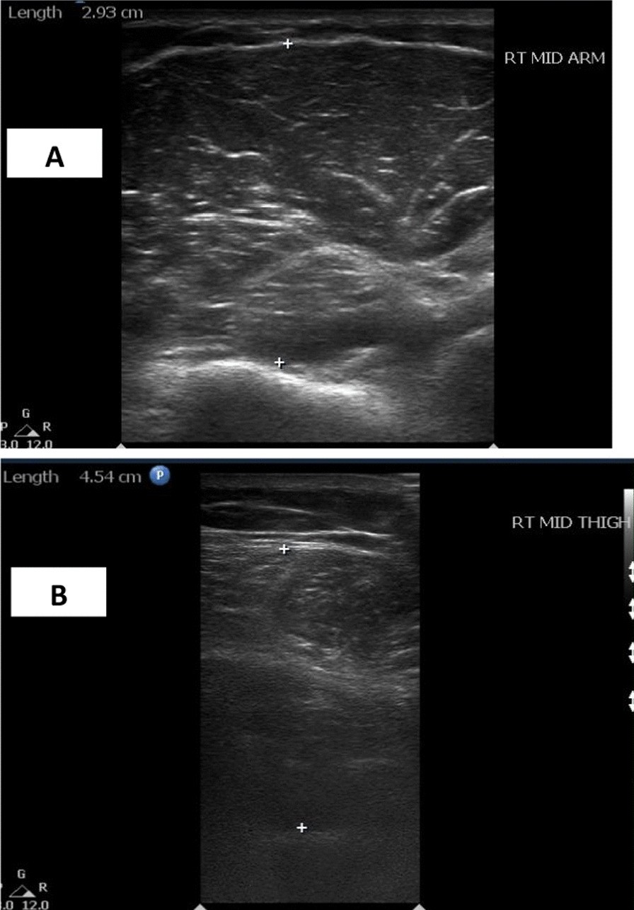 Fig. 8