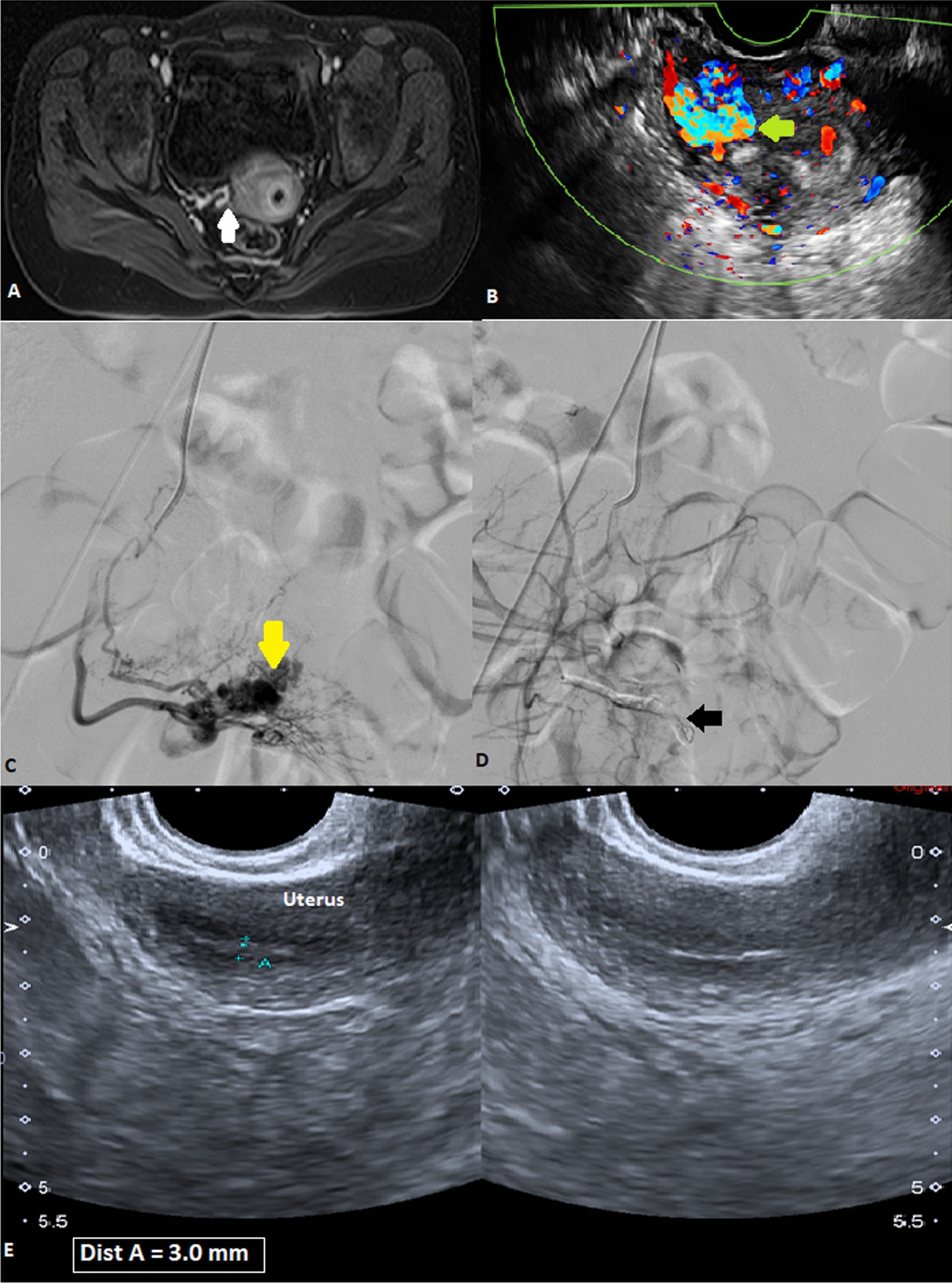 Fig. 4