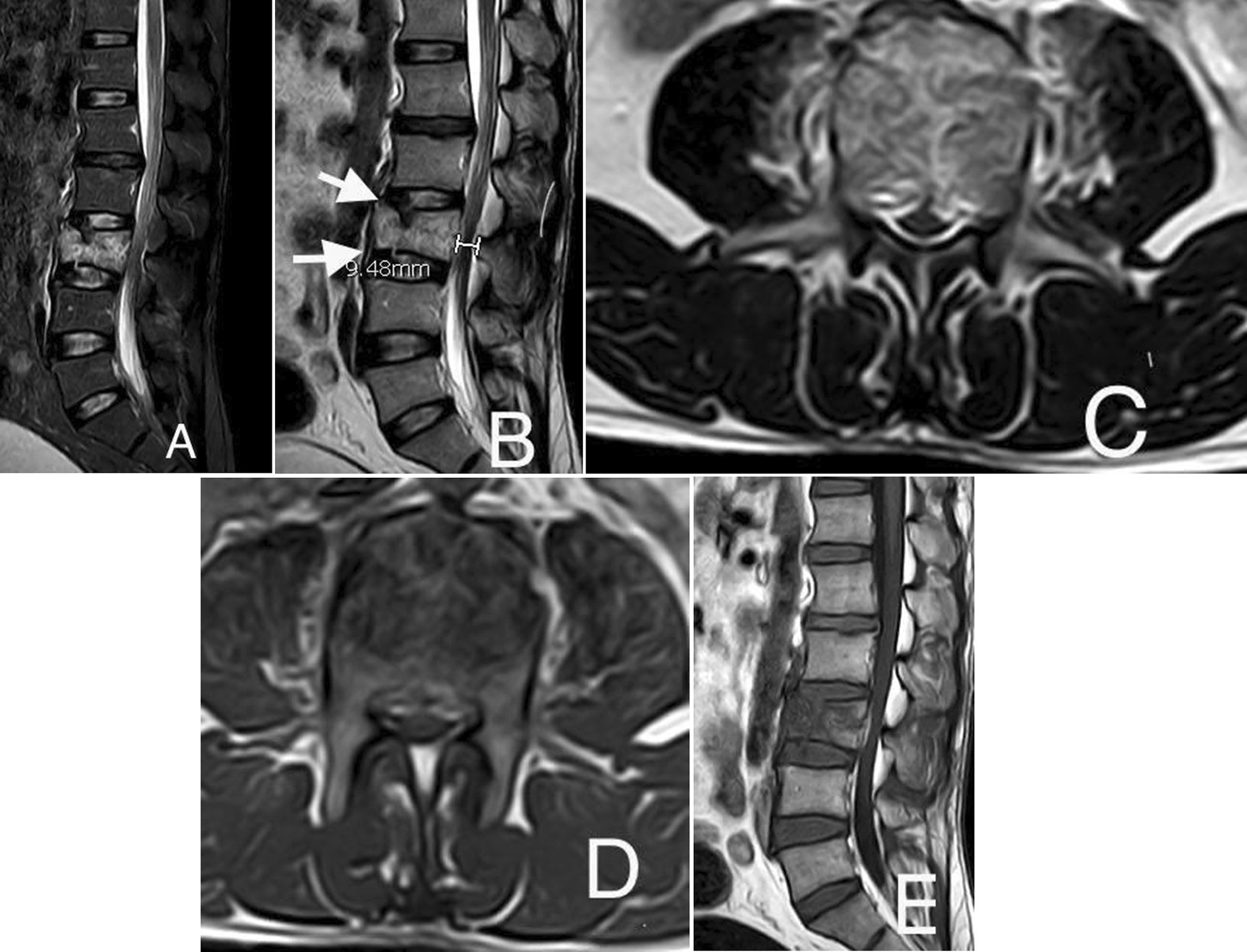 Fig. 5