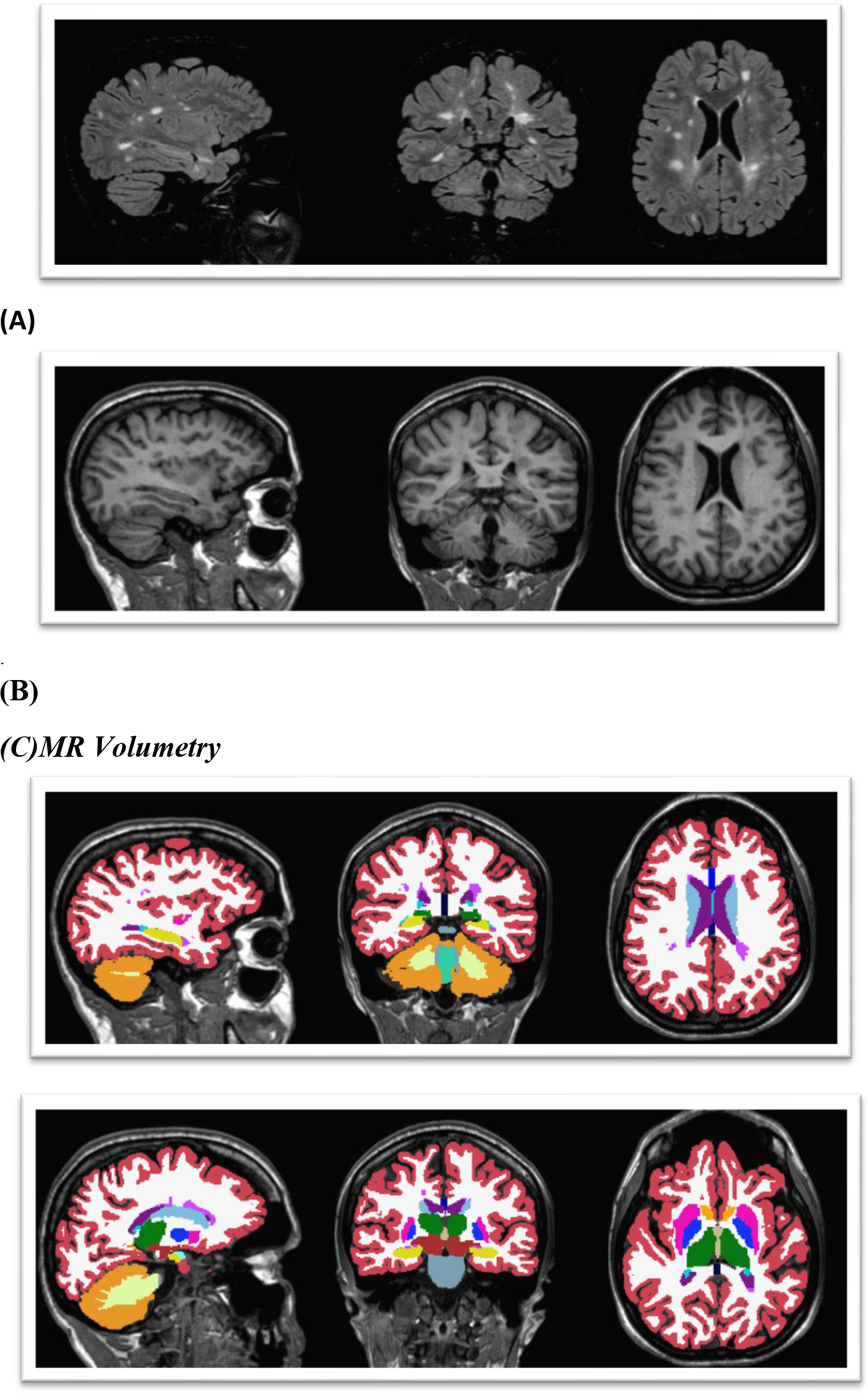 Fig. 10