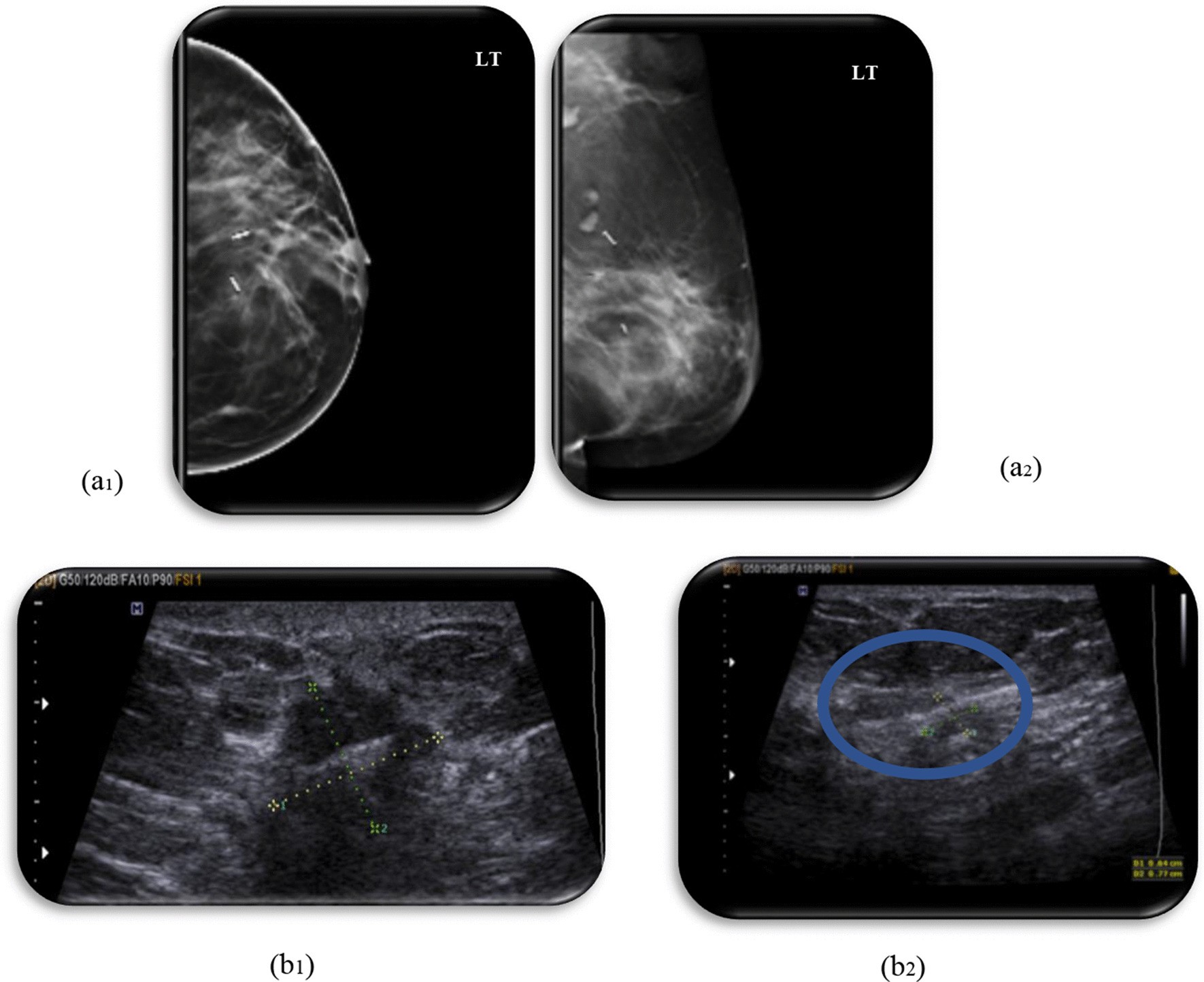 Fig. 7