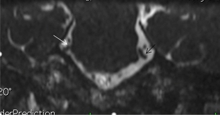 Fig. 8