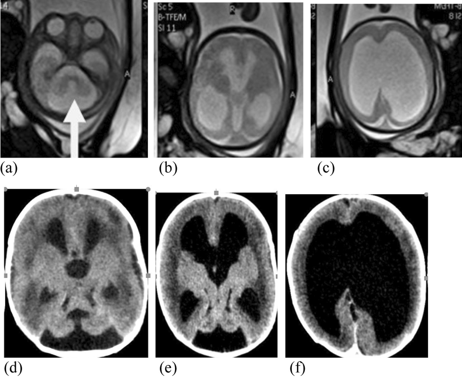 Fig. 5