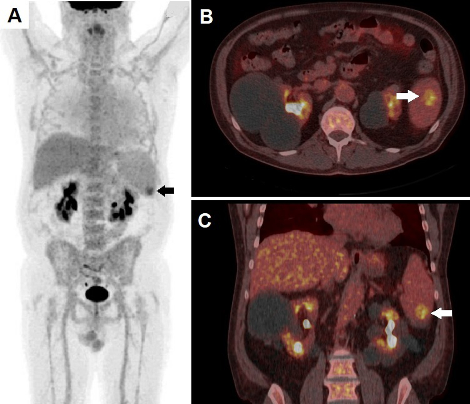 Fig. 1