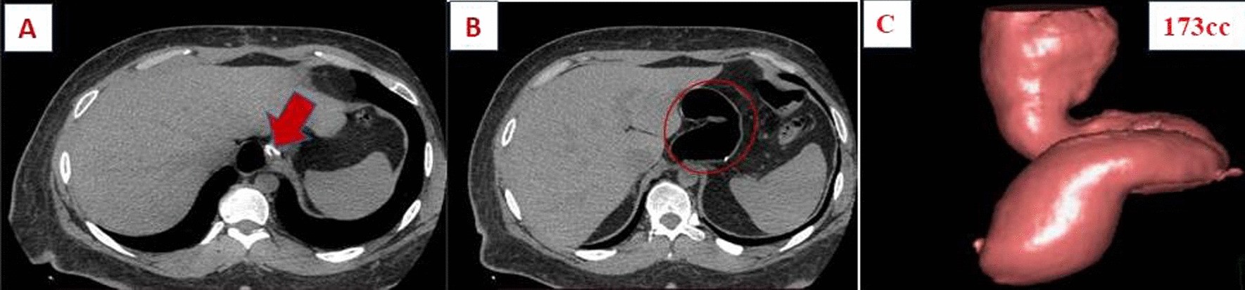 Fig. 7