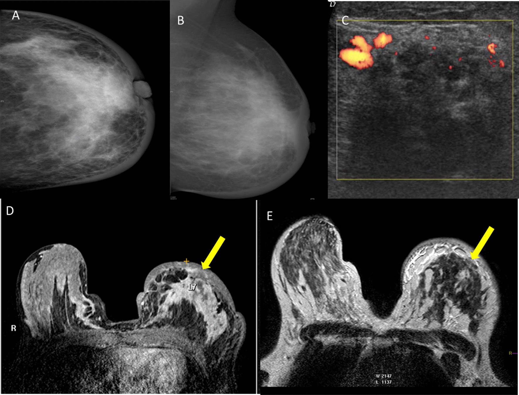 Fig. 5