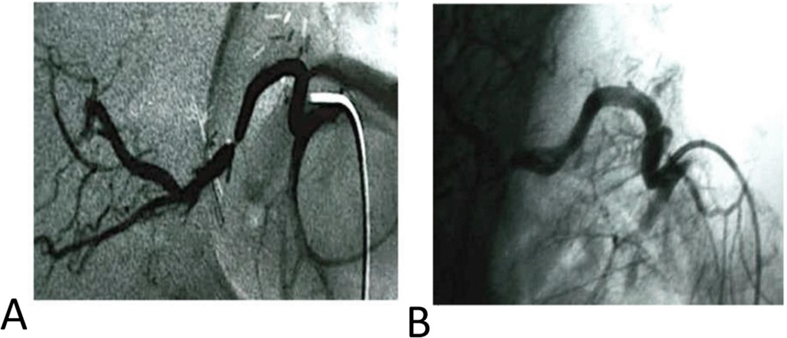 Fig. 9