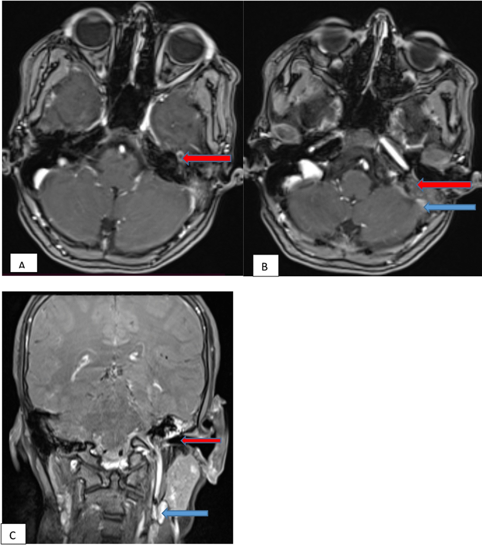 Fig. 6