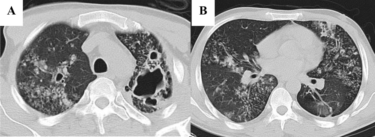 Fig. 5