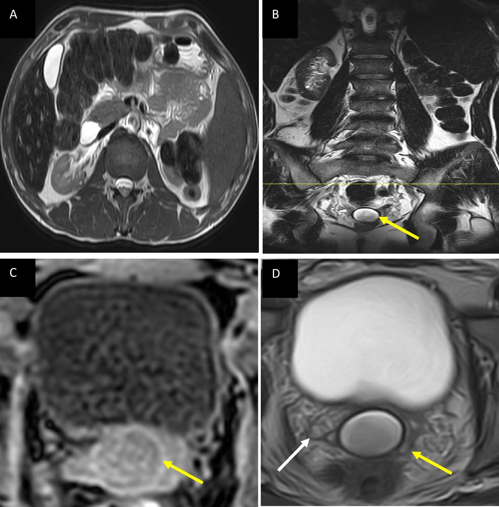 Fig. 5