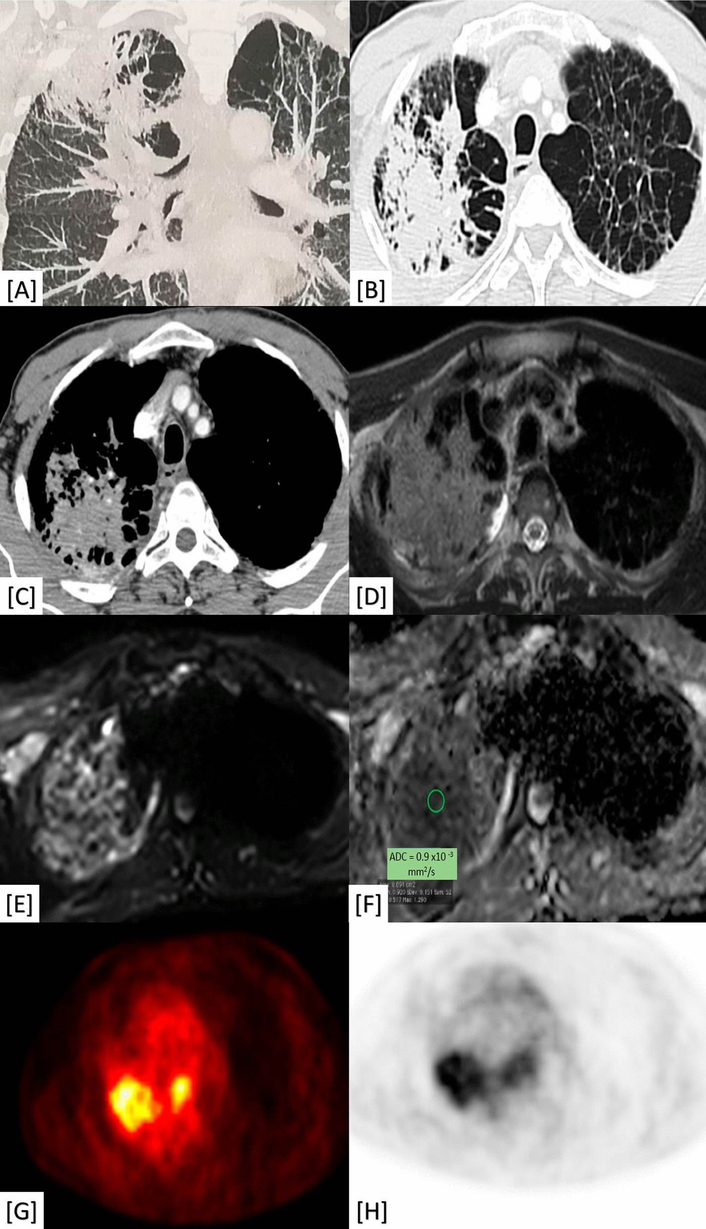 Fig. 8