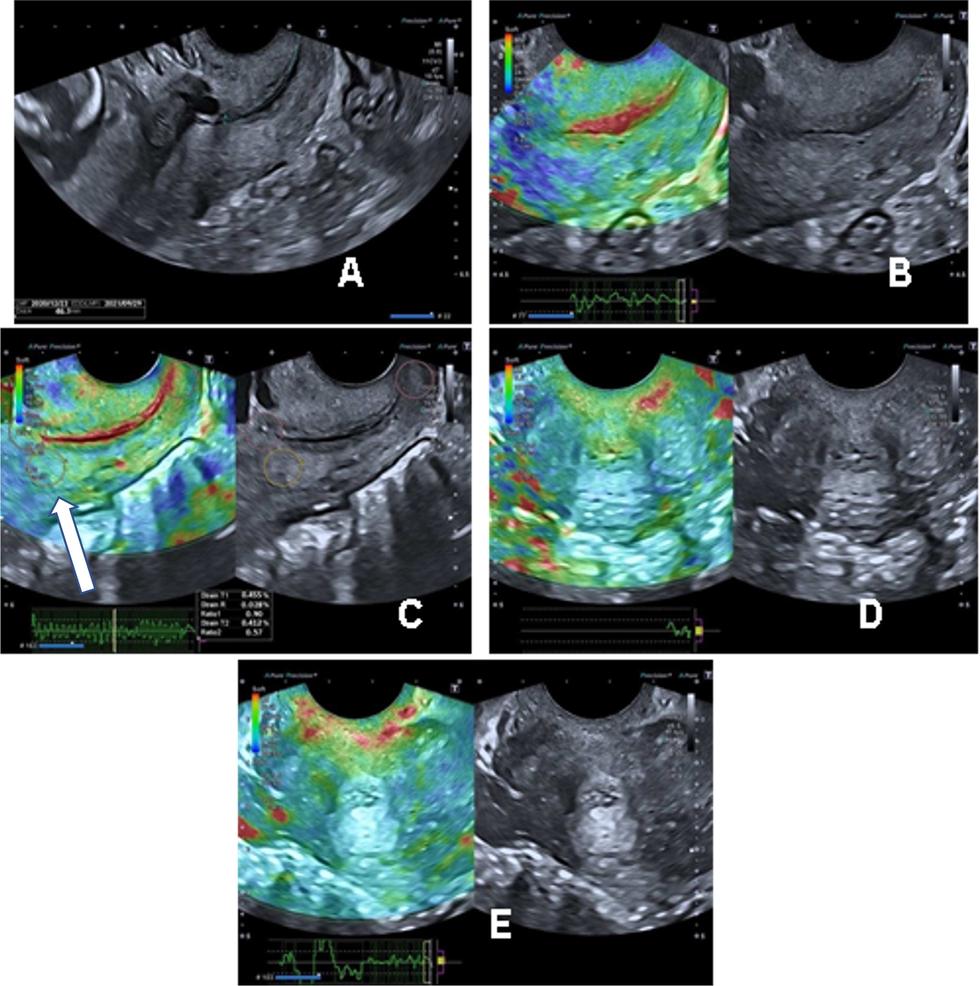 Fig. 6