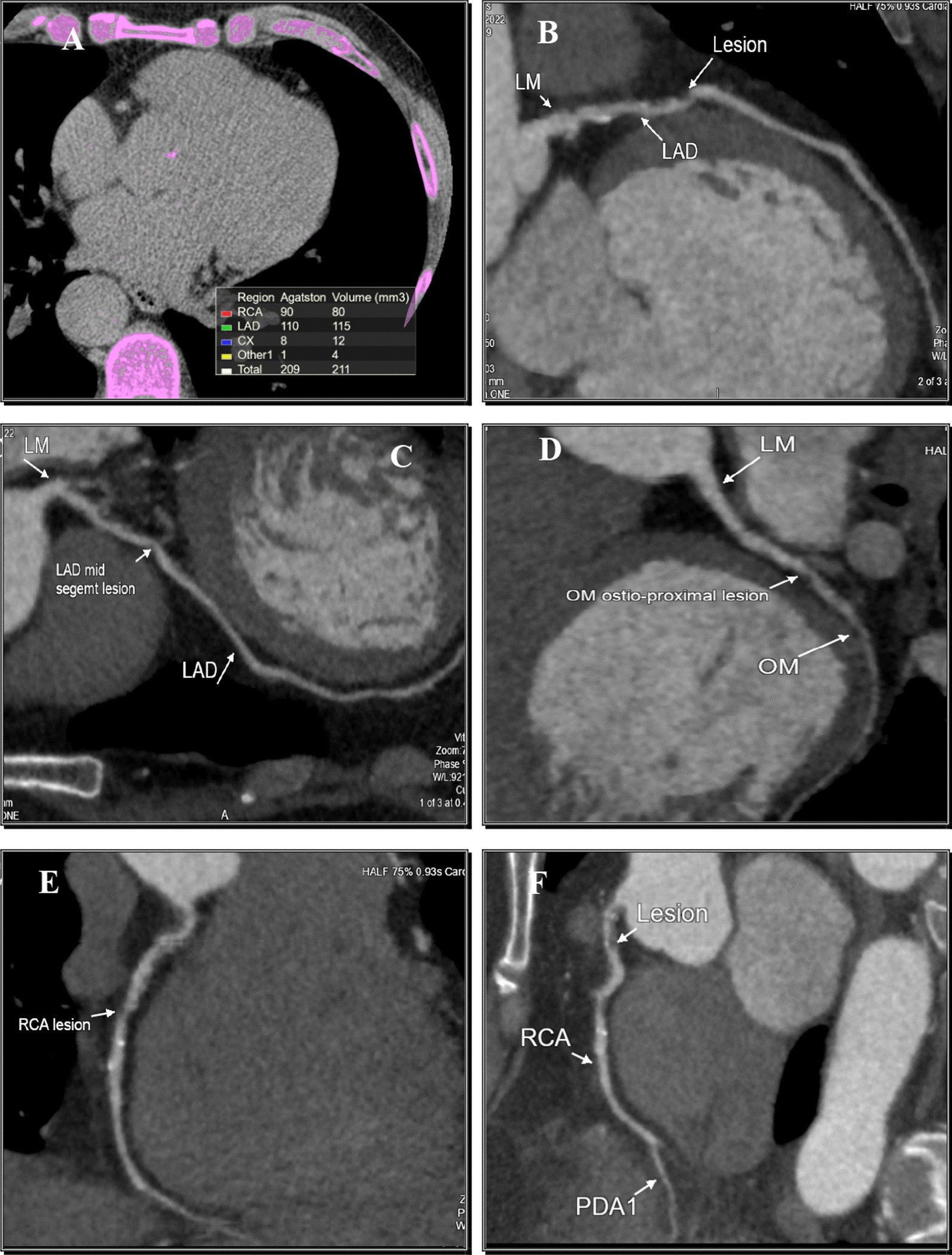 Fig. 5