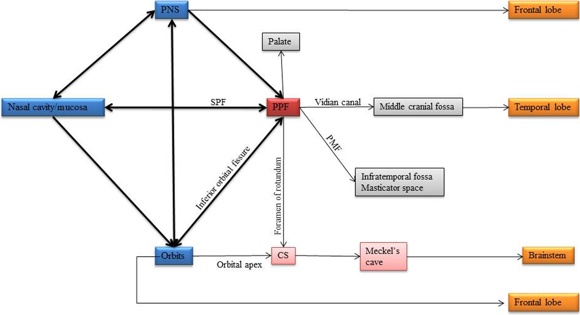 Fig. 12