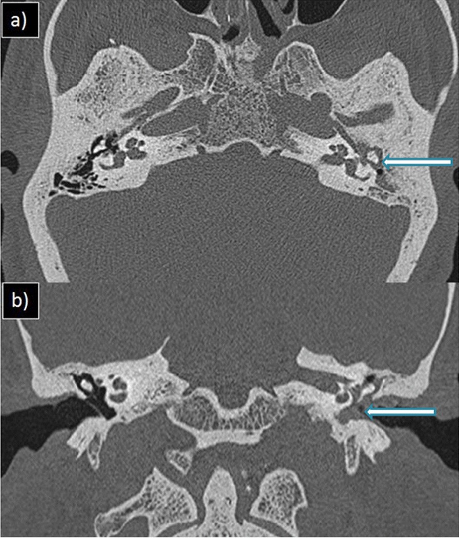 Fig. 9