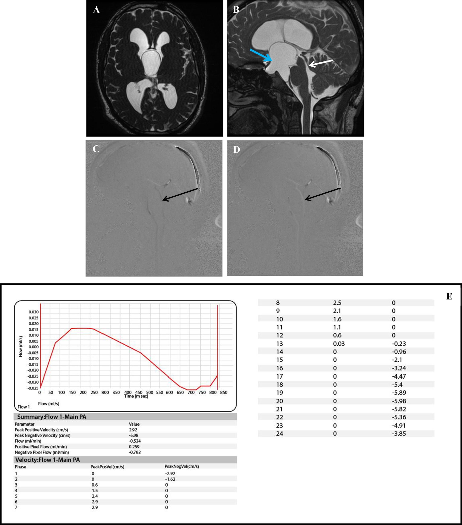 Fig. 4