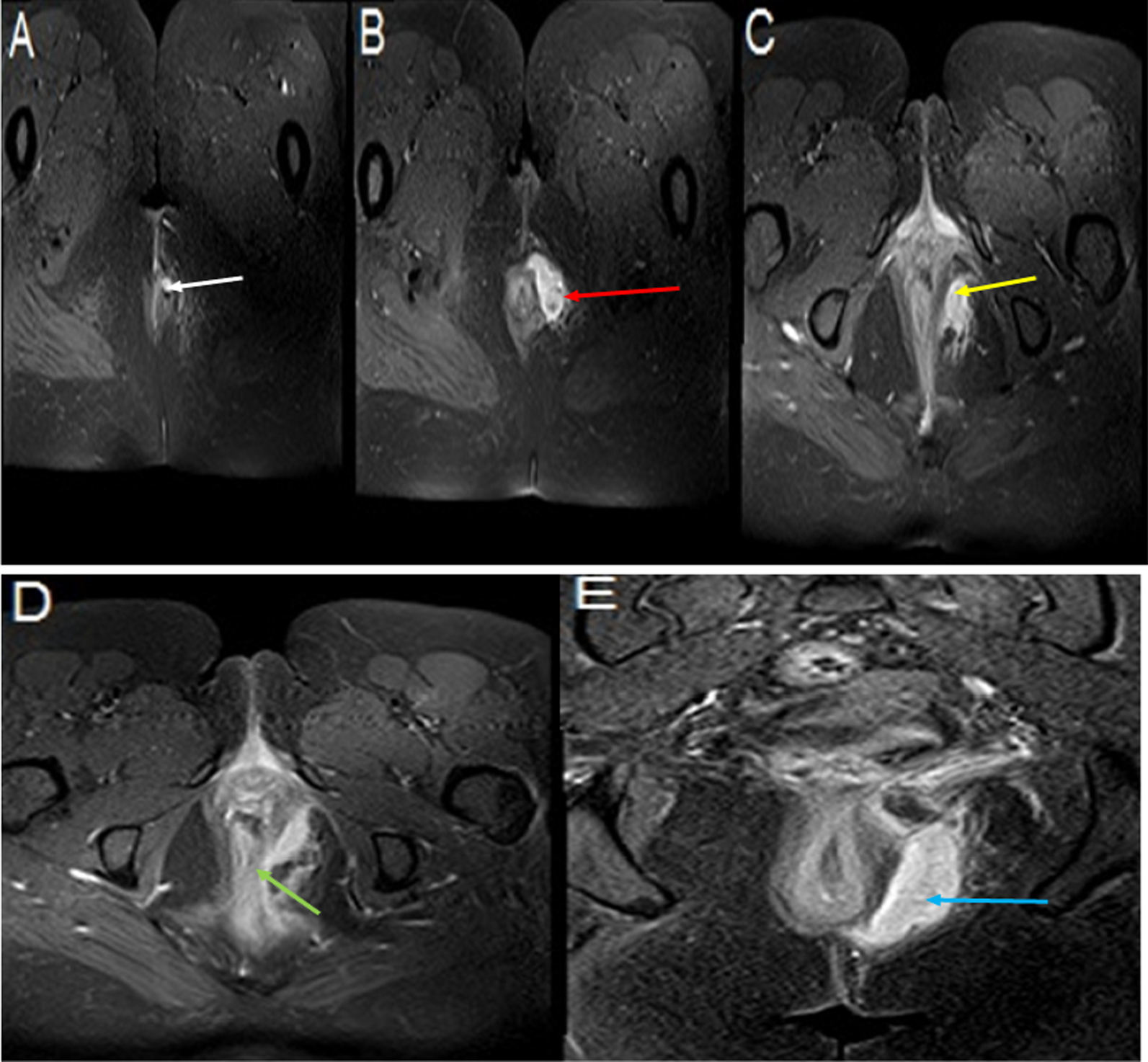 Fig. 7