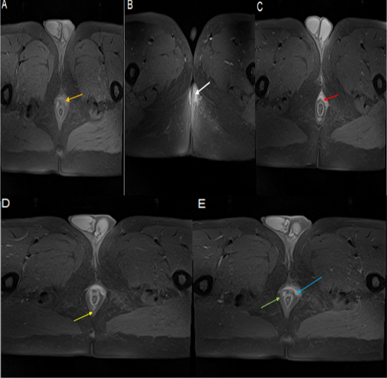 Fig. 8