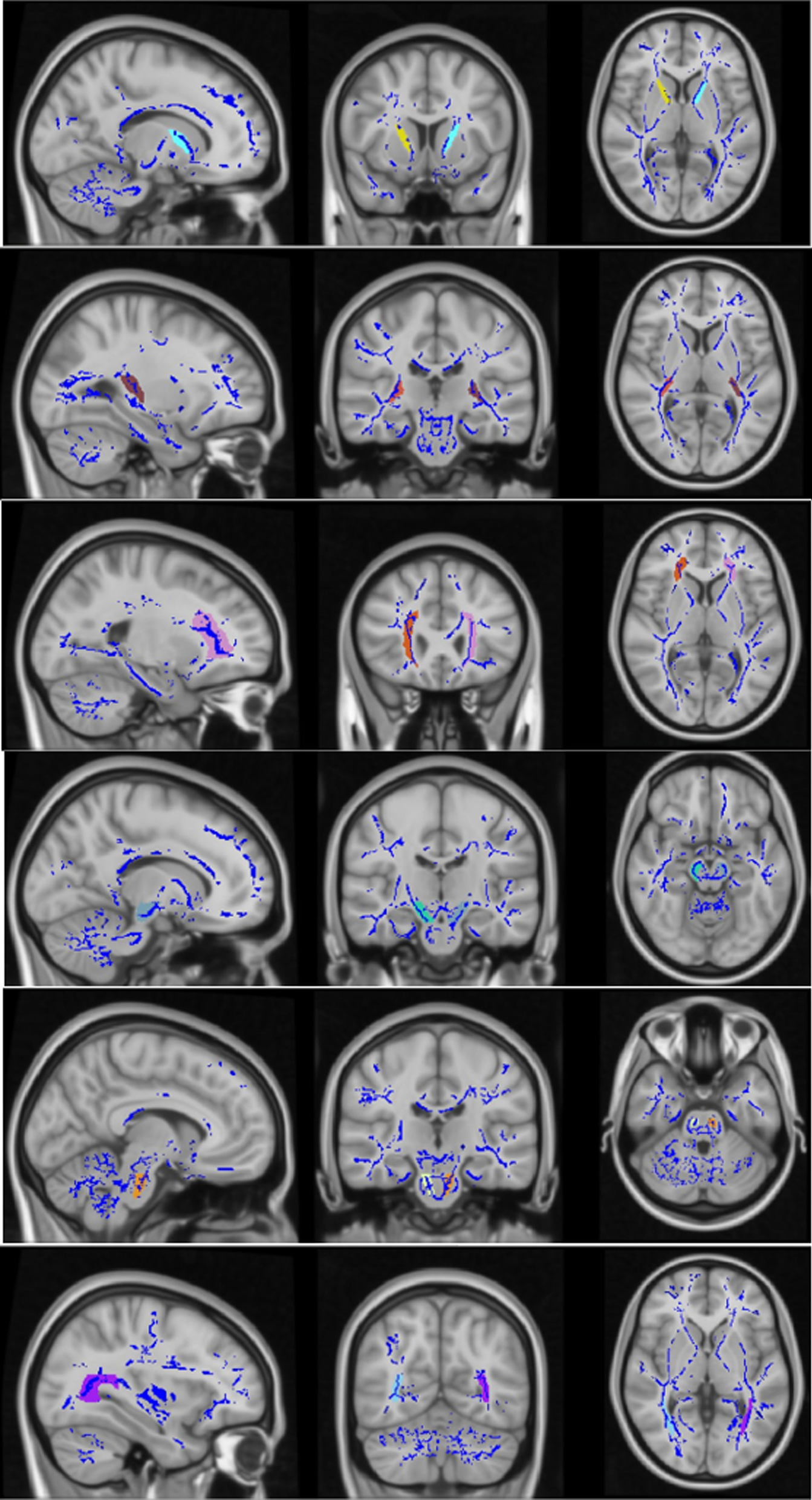 Fig. 10