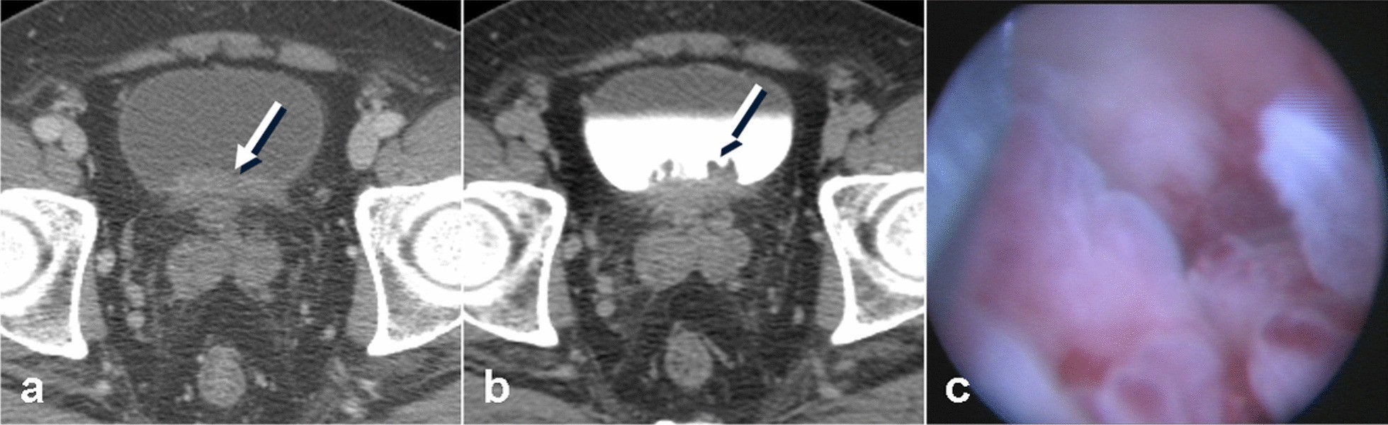 Fig. 9