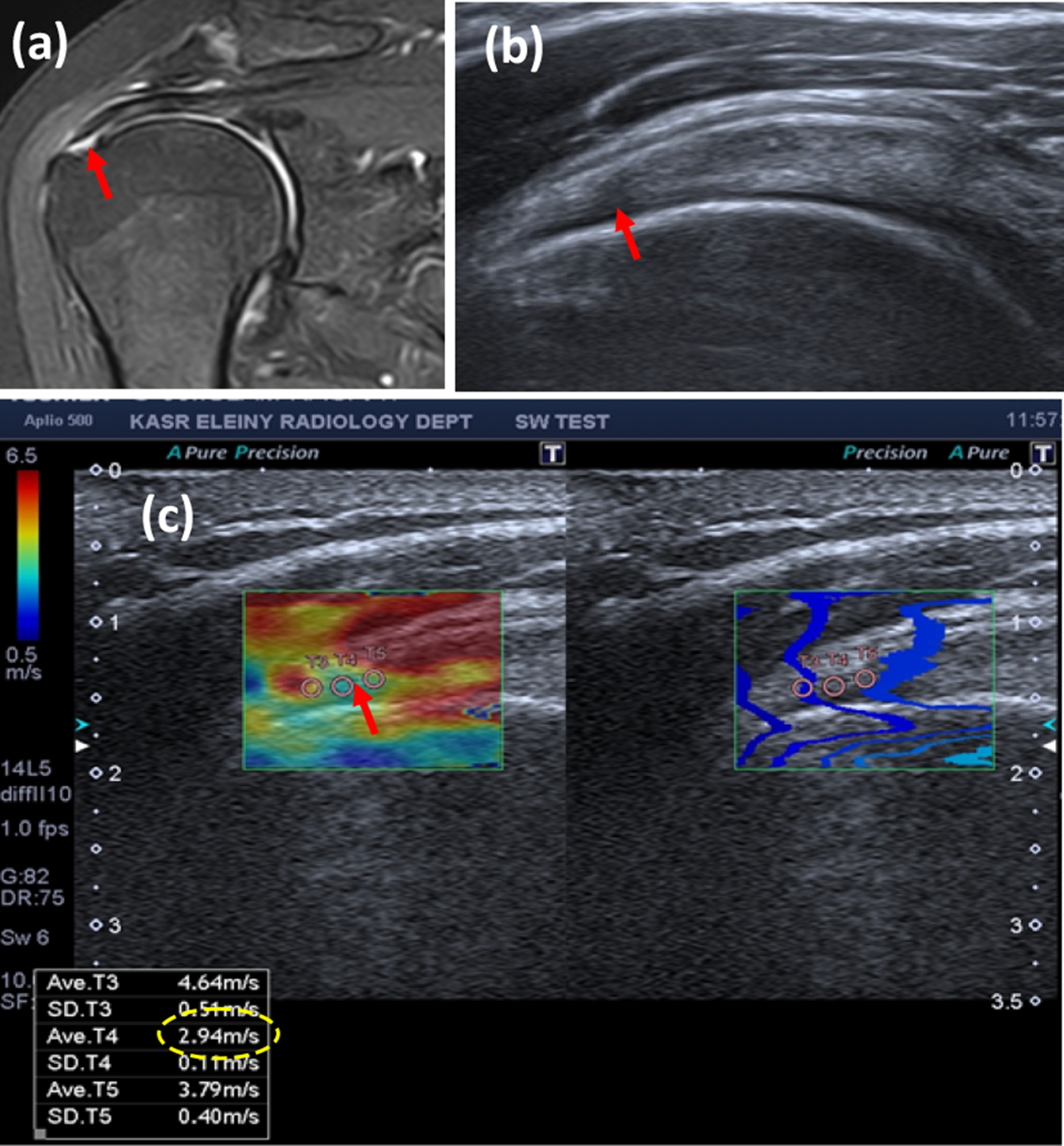 Fig. 6